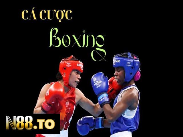 3 Cách Cá Cược Boxing N88 Giúp Tân Binh Luôn Thắng