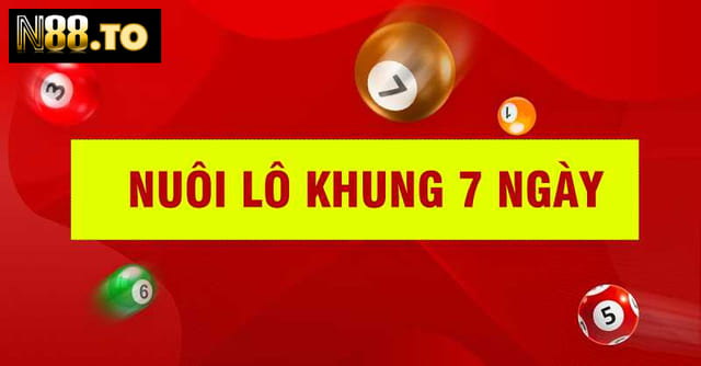 Thế nào là nuôi lô khung 7 ngày